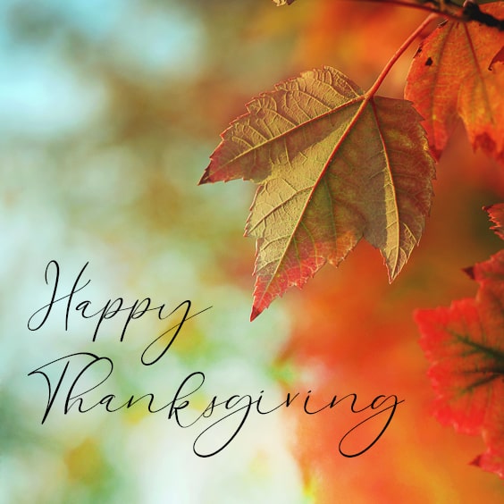 Happy Thanksgiving